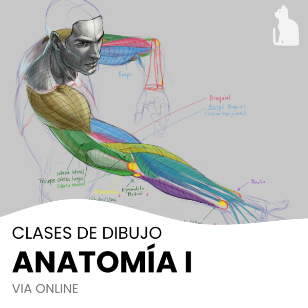 Programa “Fundamentos del Dibujo” - Módulo 2: Anatomía I
